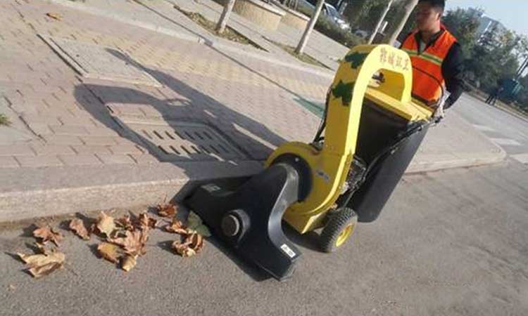郓城街头出现了一种吸树叶神器，打扫落叶分分钟搞定！